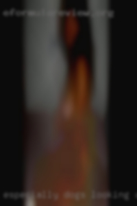 Especially dogs looking and horses.