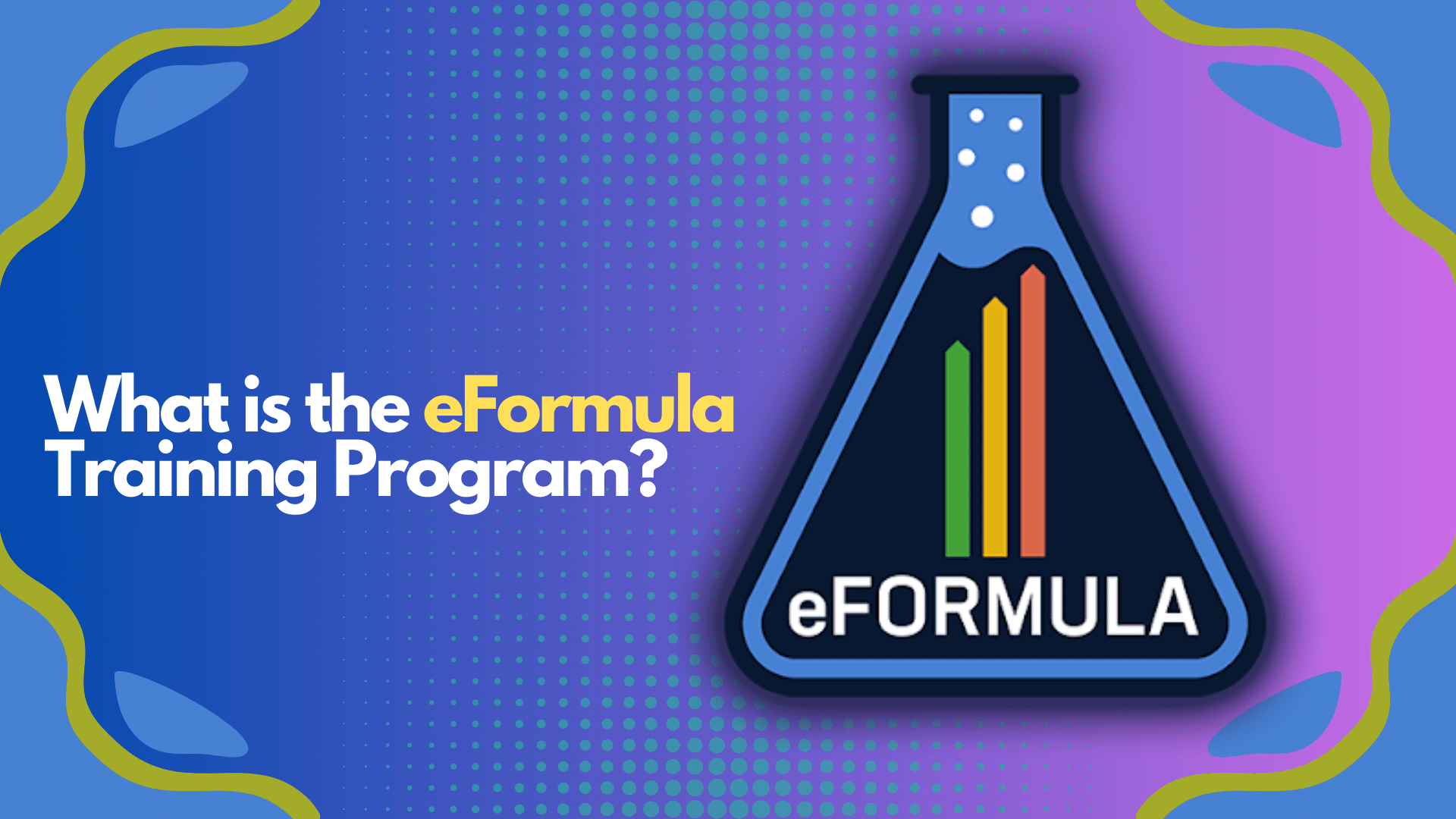 What is the eFormula Training Program?